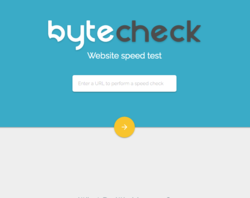 ByteCheck