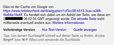 Informationen im Google Cache