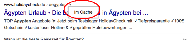 Google Cache prüfen